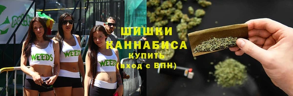 ГАЛЛЮЦИНОГЕННЫЕ ГРИБЫ Белоозёрский