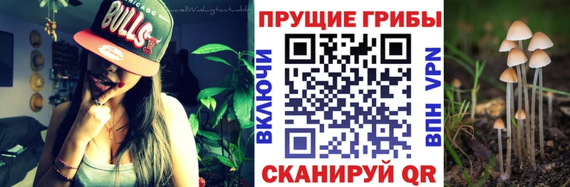 MEGA зеркало  Ейск  Псилоцибиновые грибы мухоморы  продажа наркотиков 